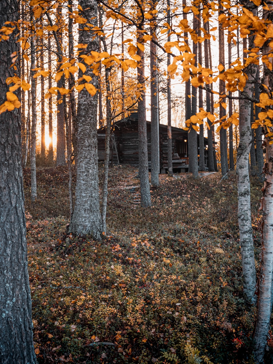 Kuinka valita oikeat energiaratkaisut mökille?